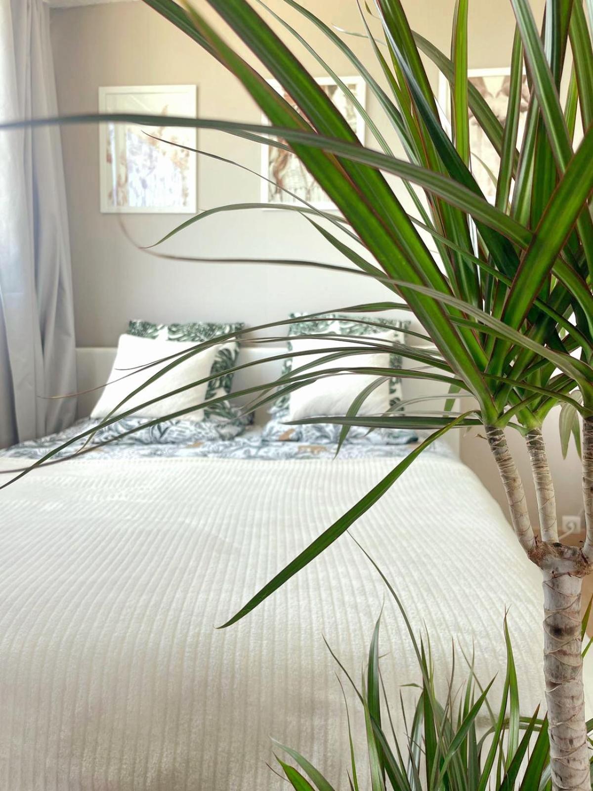 Appartement A La Grande Motte ภายนอก รูปภาพ